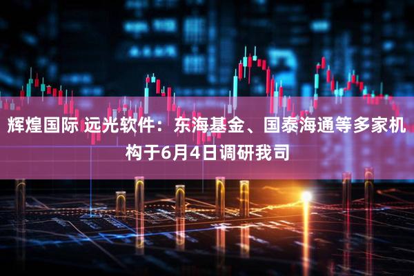 辉煌国际 远光软件：东海基金、国泰海通等多家机构于6月4日调研我司