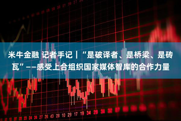 米牛金融 记者手记｜“是破译者、是桥梁、是砖瓦”——感受上合组织国家媒体智库的合作力量