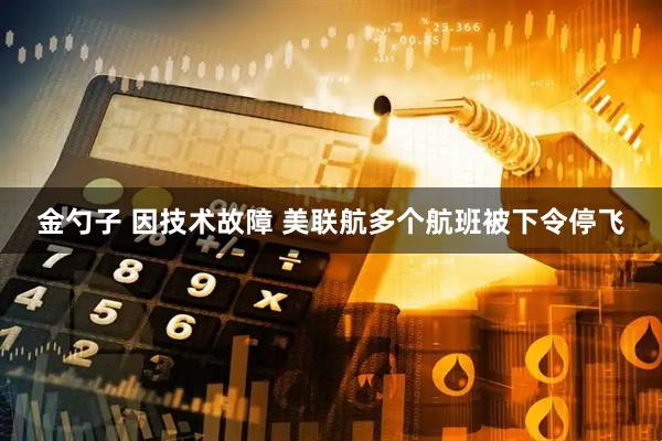 金勺子 因技术故障 美联航多个航班被下令停飞