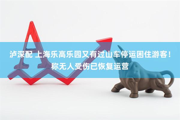 泸深配 上海乐高乐园又有过山车停运困住游客！称无人受伤已恢复运营
