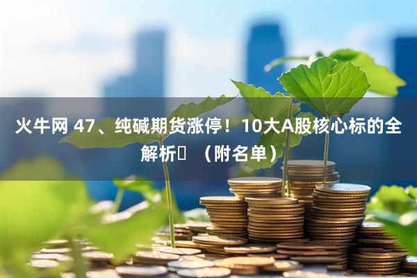 火牛网 47、纯碱期货涨停！10大A股核心标的全解析​（附名单）