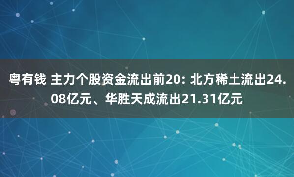 粤有钱 主力个股资金流出前20: 北方稀土流出24.08亿元、华胜天成流出21.31亿元