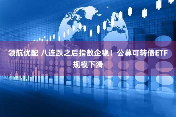 领航优配 八连跌之后指数企稳！公募可转债ETF规模下滑