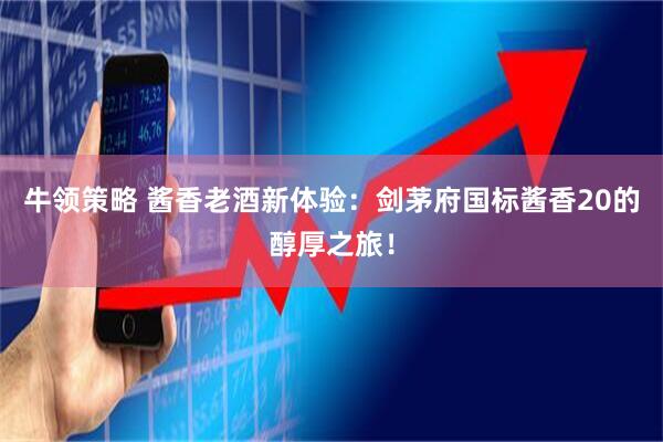 牛领策略 酱香老酒新体验：剑茅府国标酱香20的醇厚之旅！